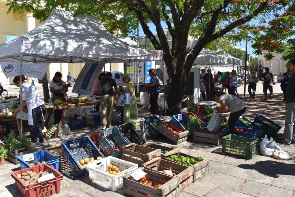 Intentar sobrevivir a la crisis: “Mercado en tu barrio” llega a Goya